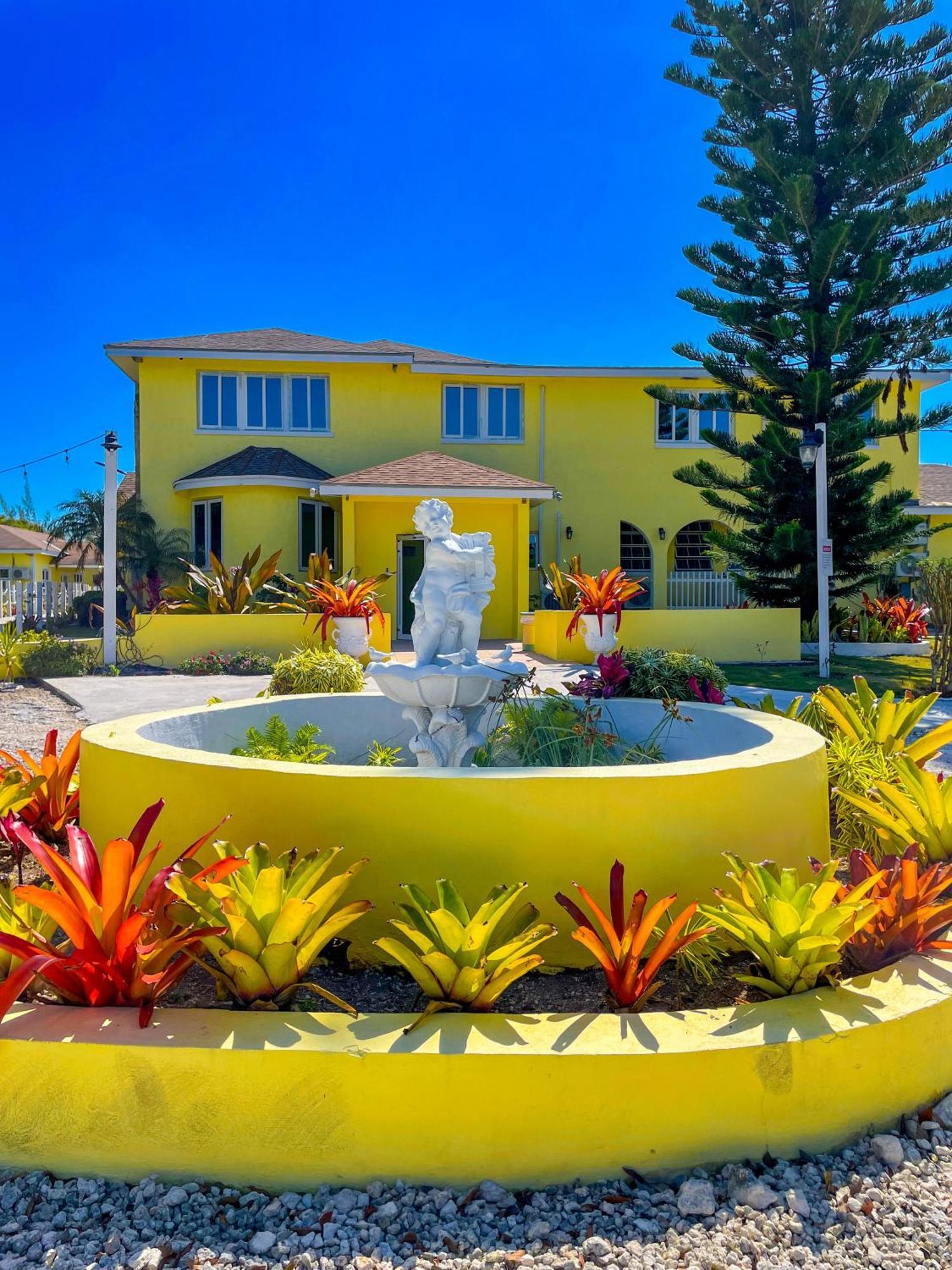 Bed and Breakfast Golden Palms House Nasáu Exterior foto